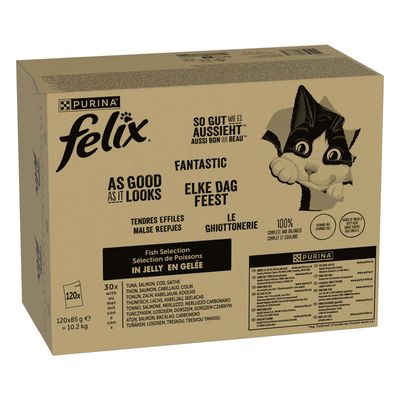 Maxi formato: Felix Le Ghiottonerie 120 x 85 g