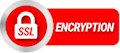 Secure Logo